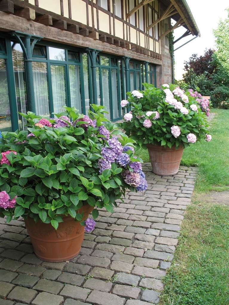 Der Linslerhof - Hotel, Restaurant, Events & Natur Überherrn Buitenkant foto
